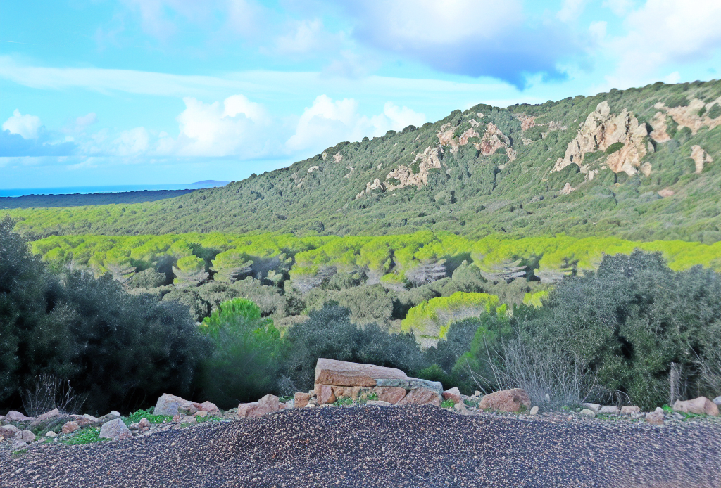 Pellet prestagionale Pauli Arbarei provincia di Sud Sardegna Vendita Pellet Pauli Arbarei